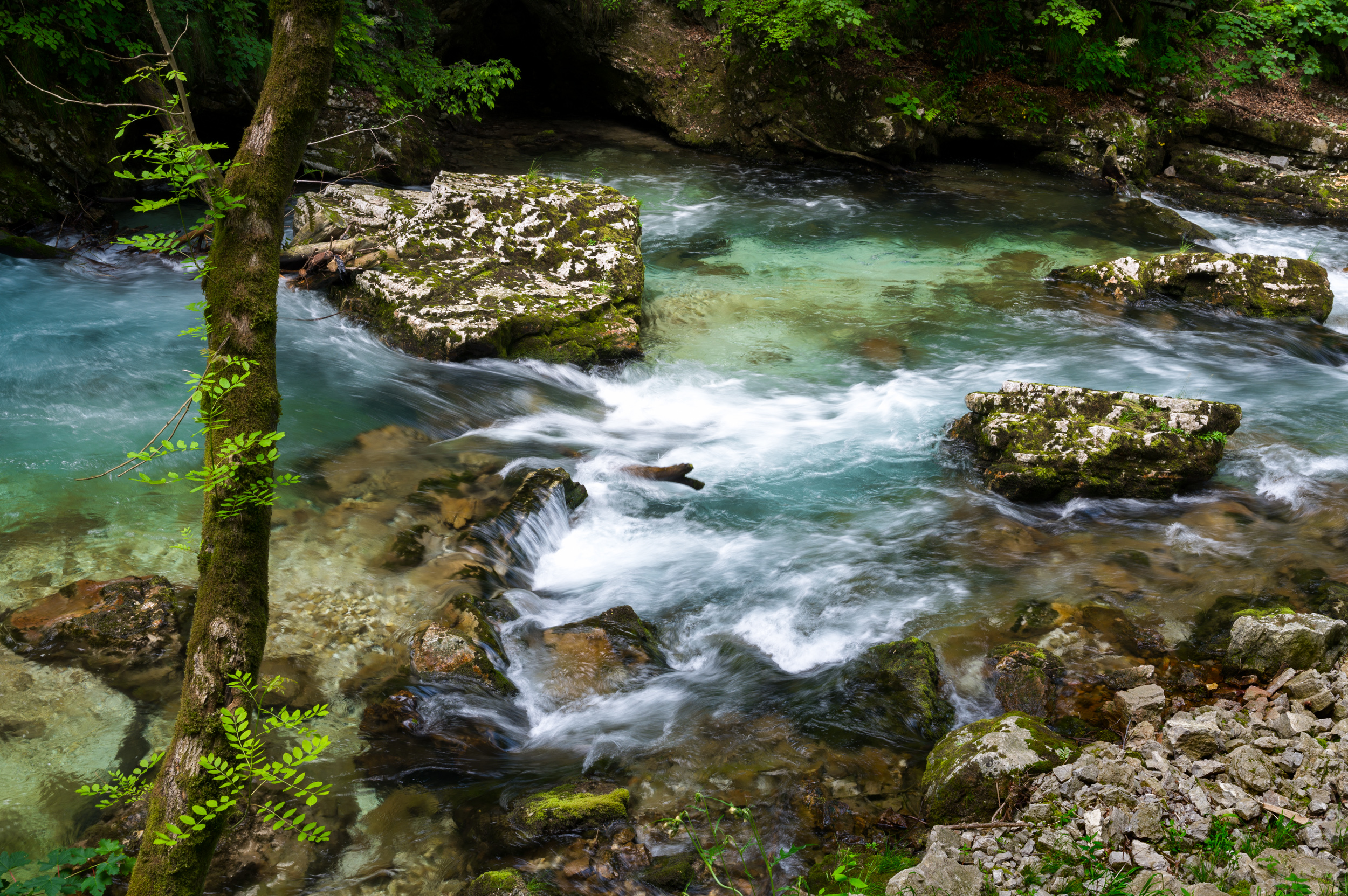 Slovenia, 2023