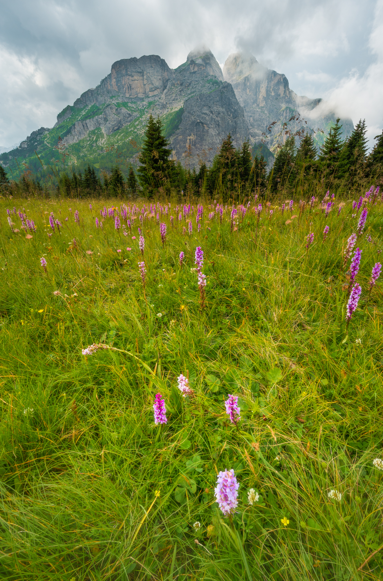 Dolomites, 2021