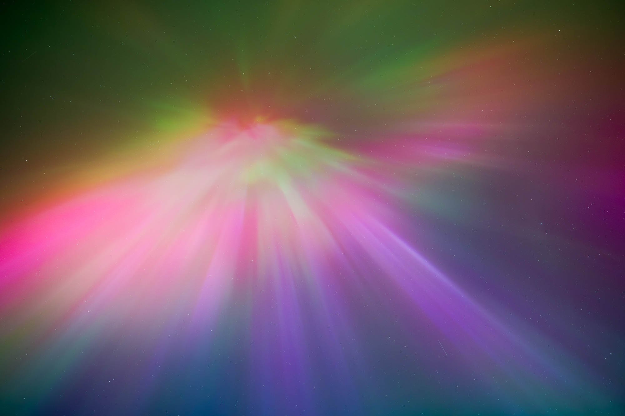 Colours of the Crown, 2024