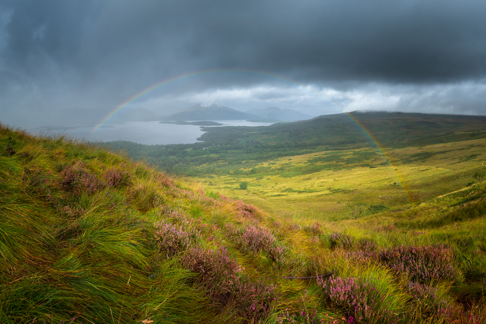Scotland, 2024
