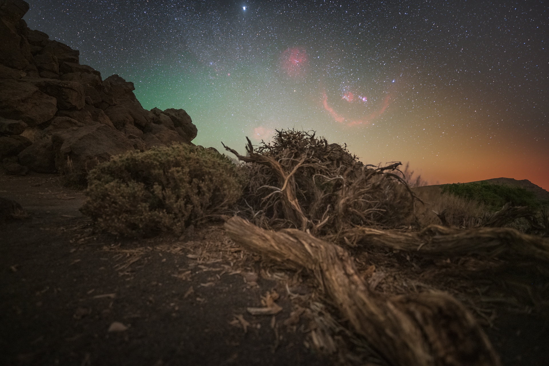 Orion Rising, 2024