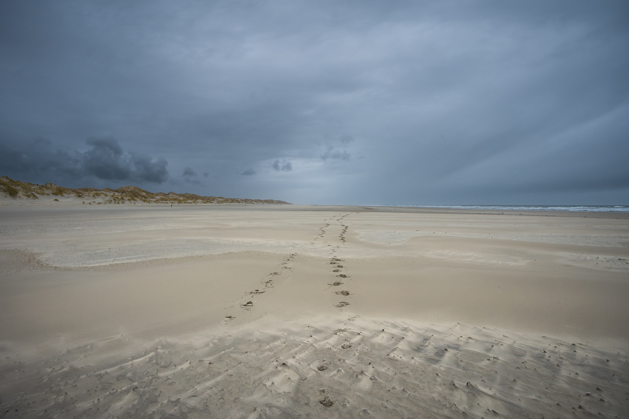 Footsteps, Terschelling, 2021